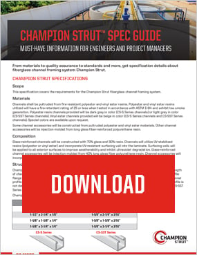 Strut-Spec-Guide-PDF_download